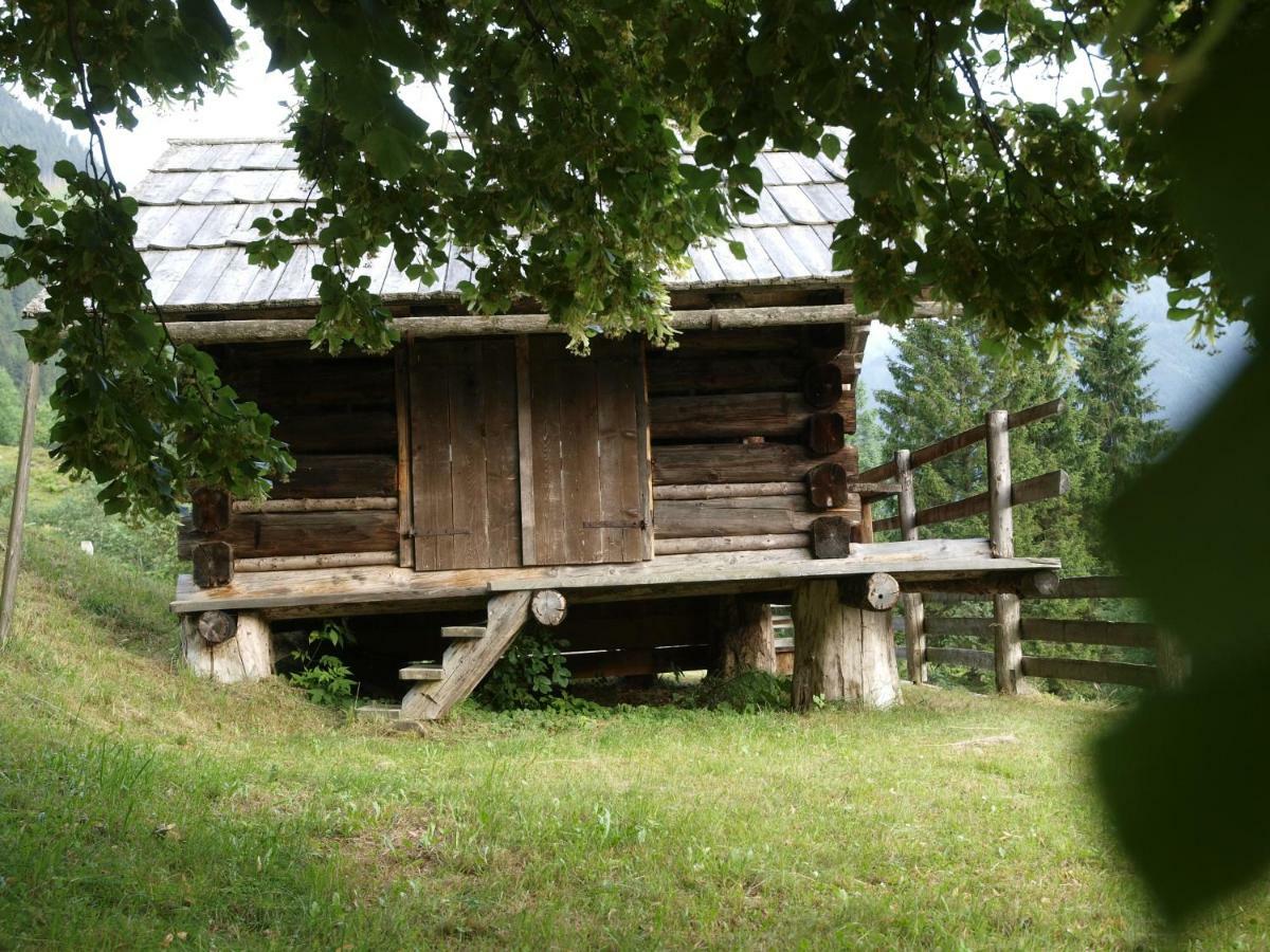 Villa Biobauernhof Spieszschweiger Sankt Nikolai im Sölktal Exterior foto